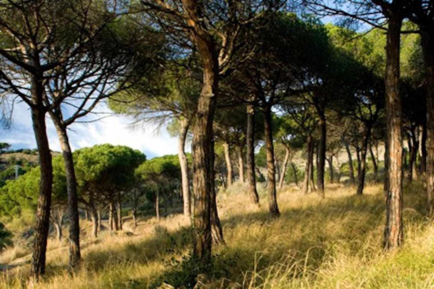 Ca Landreu Ecoturisme Villa Tiana Exterior photo